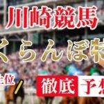 B3【 地方競馬予想 】7/5  川崎競馬予想 10R さくらんぼ特別