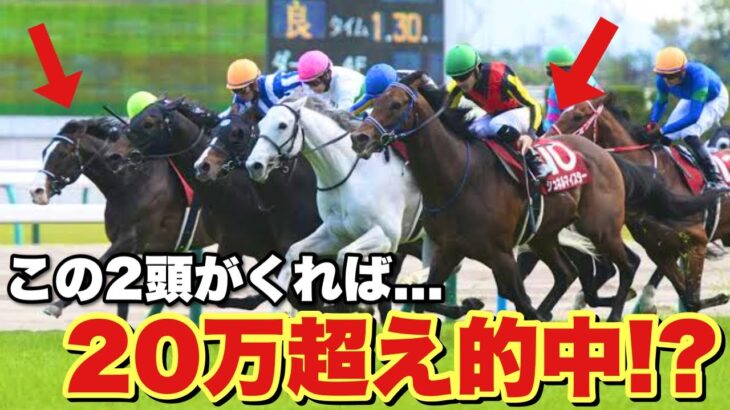 【競馬】あるレースに財布の中身全部ぶち込んで大勝負しました